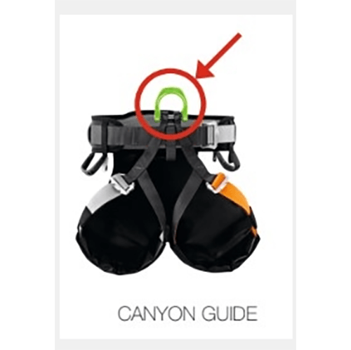 Petzl climbing harness