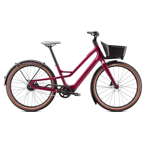 Specialized electric bicycle