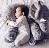 Veverra baby pillow