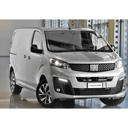 Fiat light commercial vehicle