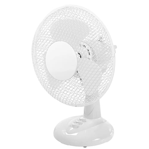 Fan