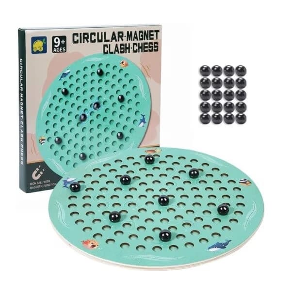 Magnetic toy